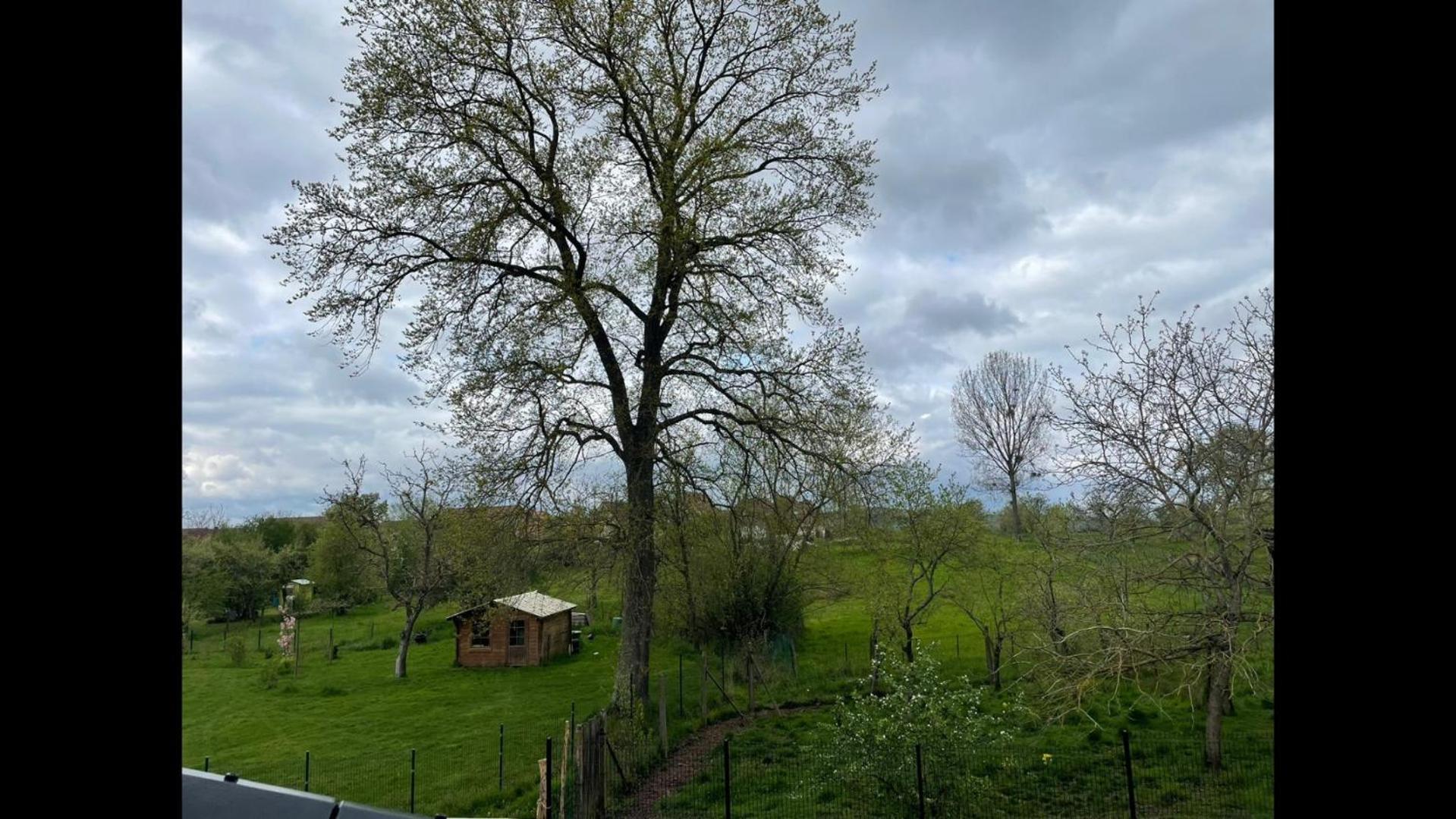 Maison 21 Zutzendorf المظهر الخارجي الصورة